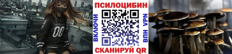 Купить где  Шенкурск  Псилоцибиновые грибы MAGIC MUSHROOMS 
